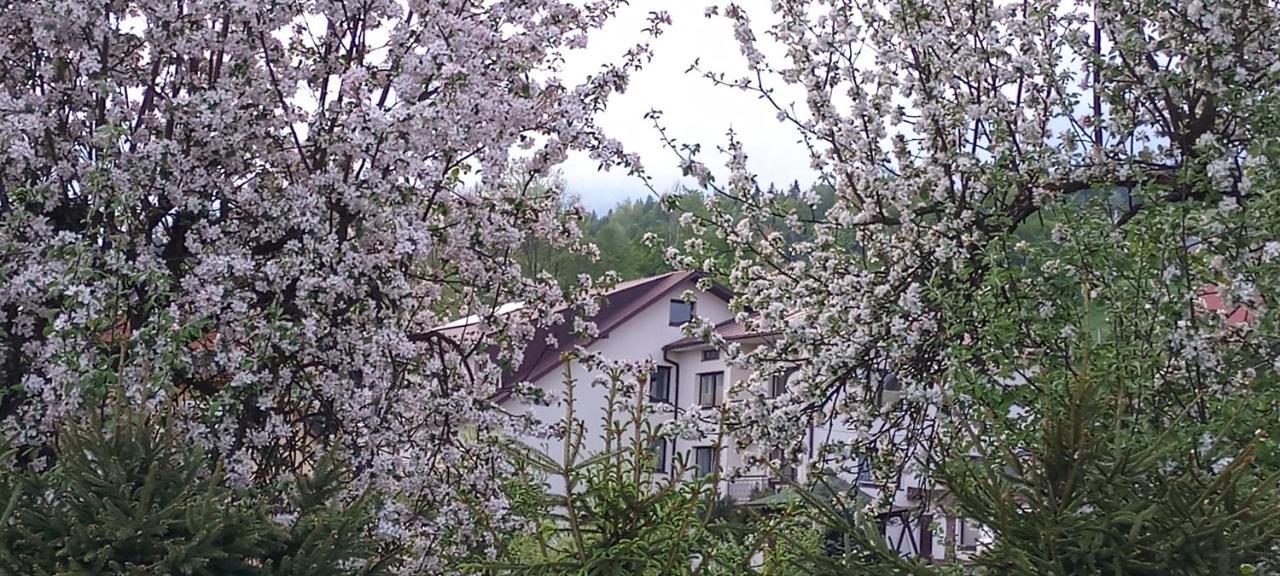 Pokoje U Solany Vila Knurow  Exterior foto